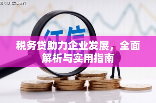 丹巴税务贷助力企业发展，全面解析与实用指南
