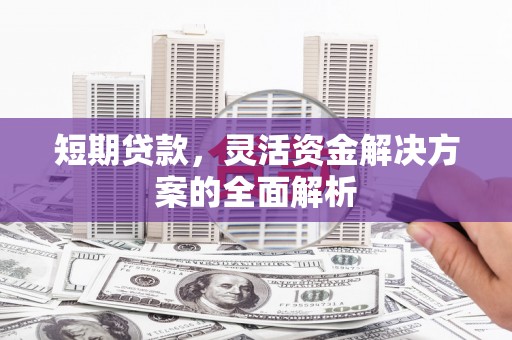 丹巴短期贷款，灵活资金解决方案的全面解析