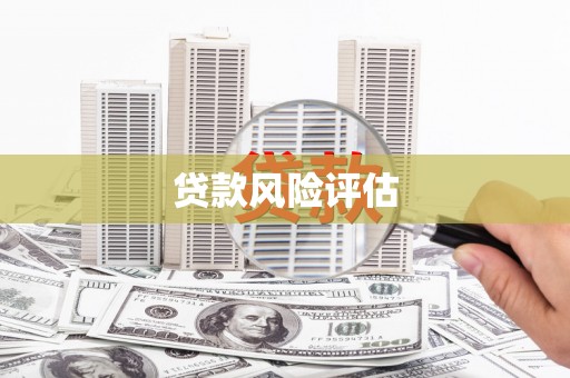 丹巴贷款风险评估