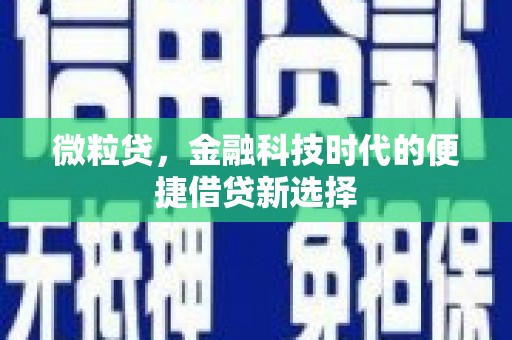 丹巴微粒贷，金融科技时代的便捷借贷新选择