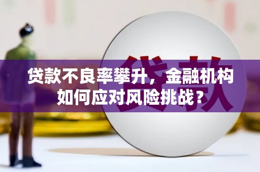 丹巴贷款不良率攀升，金融机构如何应对风险挑战？