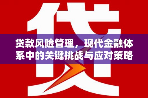 丹巴贷款风险管理，现代金融体系中的关键挑战与应对策略