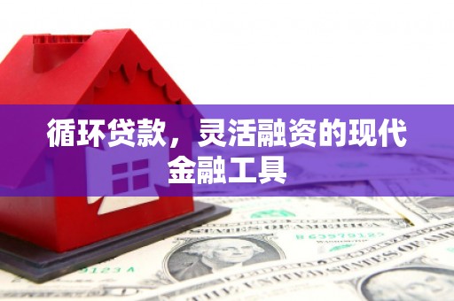丹巴循环贷款，灵活融资的现代金融工具