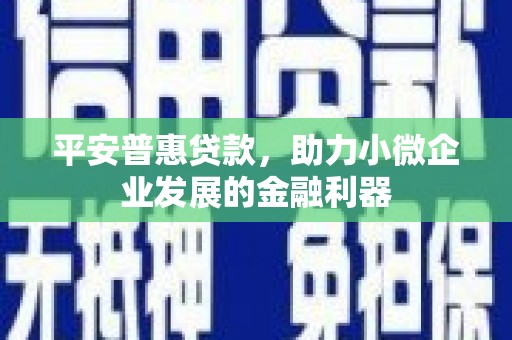 丹巴平安普惠贷款，助力小微企业发展的金融利器