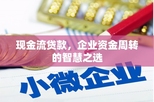 丹巴现金流贷款，企业资金周转的智慧之选