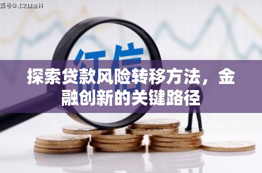 丹巴探索贷款风险转移方法，金融创新的关键路径