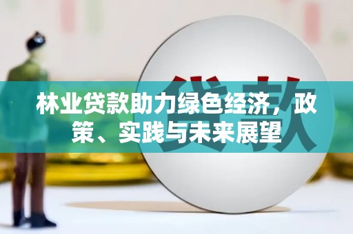 丹巴林业贷款助力绿色经济，政策、实践与未来展望