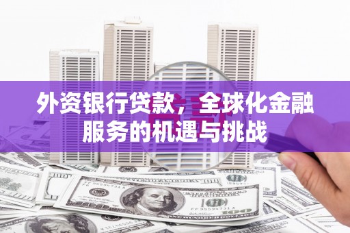 丹巴外资银行贷款，全球化金融服务的机遇与挑战