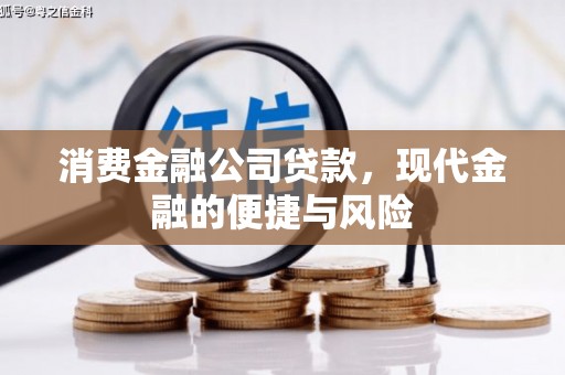 丹巴消费金融公司贷款，现代金融的便捷与风险