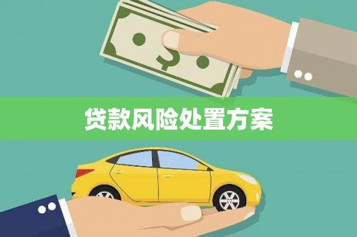 丹巴贷款风险处置方案