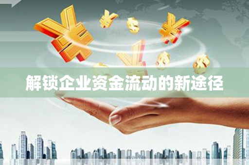 丹巴解锁企业资金流动的新途径