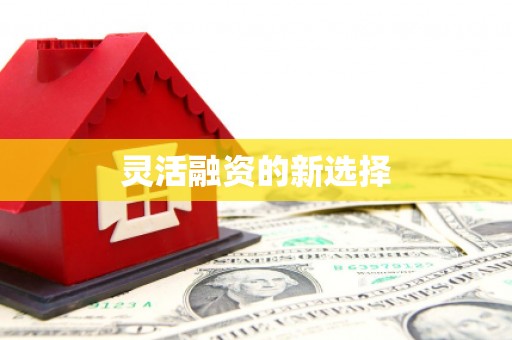 丹巴灵活融资的新选择