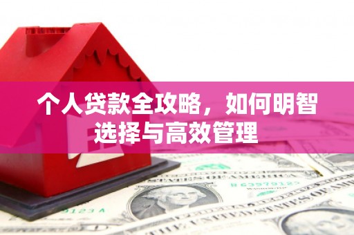 丹巴个人贷款全攻略，如何明智选择与高效管理