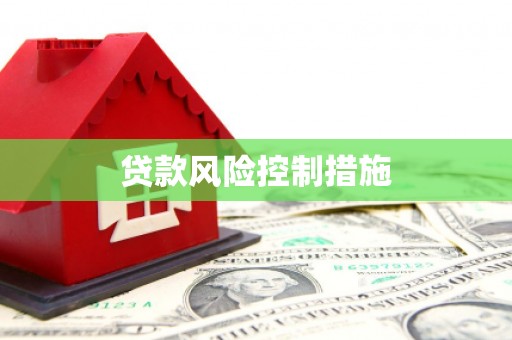 丹巴贷款风险控制措施