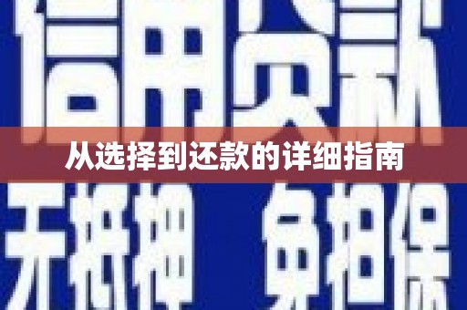 丹巴从选择到还款的详细指南