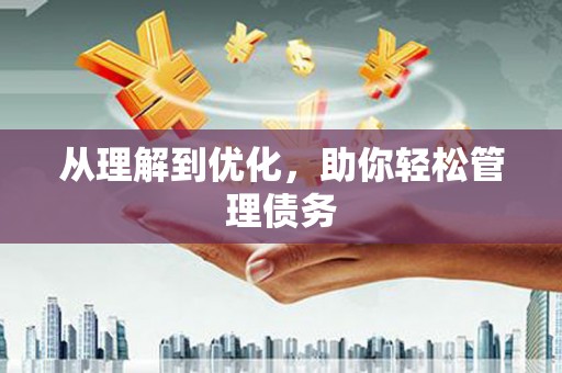 丹巴从理解到优化，助你轻松管理债务