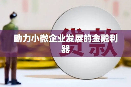 丹巴助力小微企业发展的金融利器