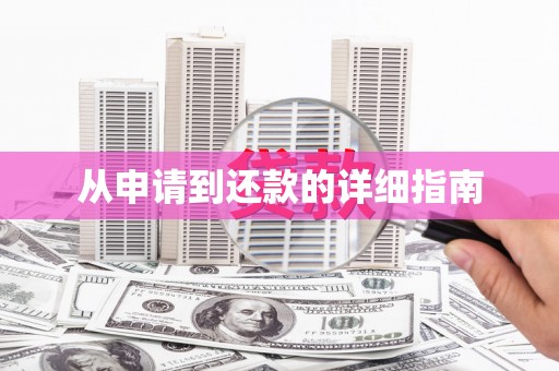 丹巴从申请到还款的详细指南