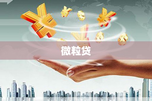 丹巴微粒贷