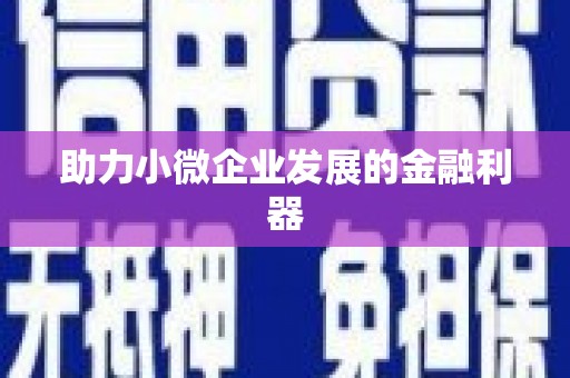 丹巴助力小微企业发展的金融利器