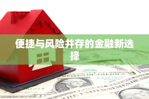 丹巴便捷与风险并存的金融新选择