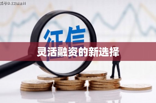 丹巴灵活融资的新选择