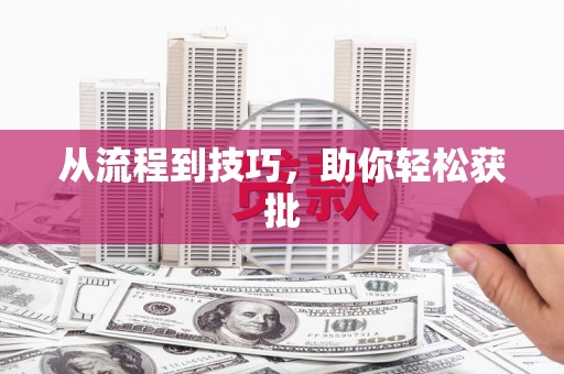 丹巴从流程到技巧，助你轻松获批