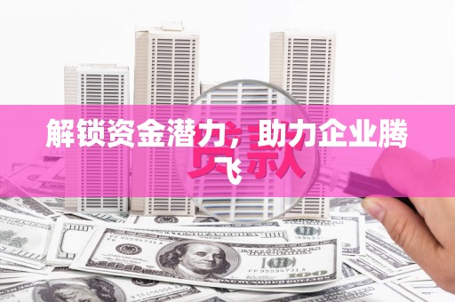 丹巴解锁资金潜力，助力企业腾飞