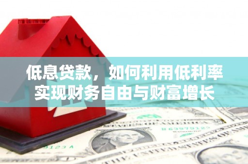 丹巴低息贷款，如何利用低利率实现财务自由与财富增长
